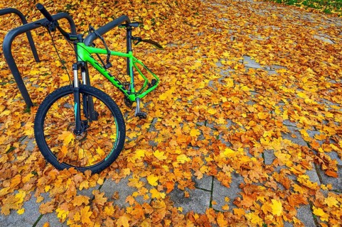 Bicycle theft
