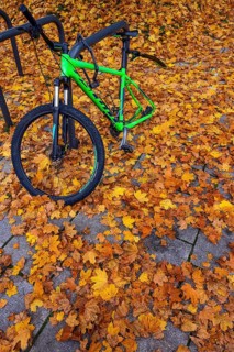 Bicycle theft