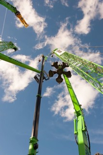 Cranes of all kinds and types