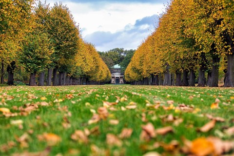 Autumn leaves in a meadow in front of the Guelph Mausoleum