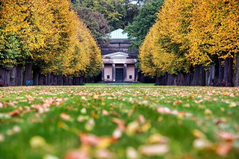 Autumn leaves in a meadow in front of the Guelph Mausoleum