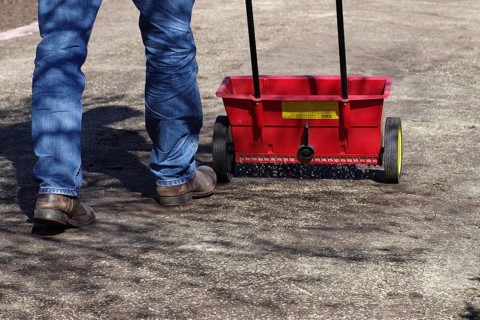 Sowing