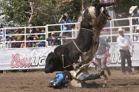 Cowboy thrown while bull riding