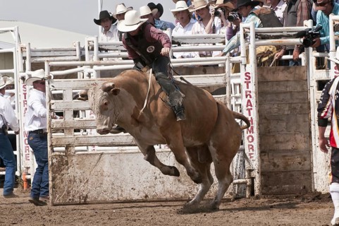 Cowboy bull riding