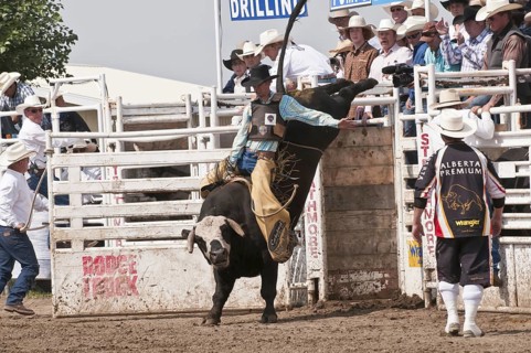 Cowboy bull riding
