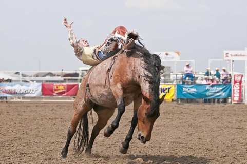 Cowboy