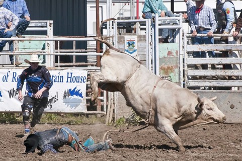 Cowboy thrown while bull riding