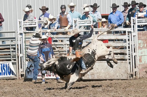 Cowboy bull riding