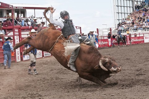 Cowboy bull riding at a rodeo