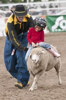 Mutton busting event