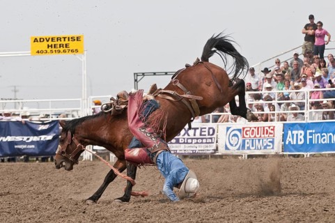 Cowboy being thrown
