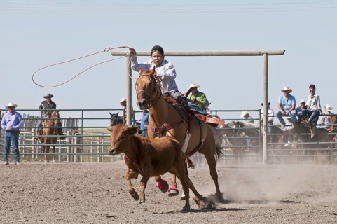 Calf roping