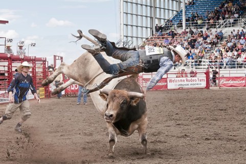 Cowboy bull riding