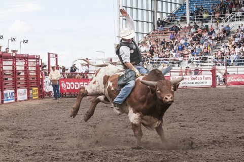 Cowboy bull riding