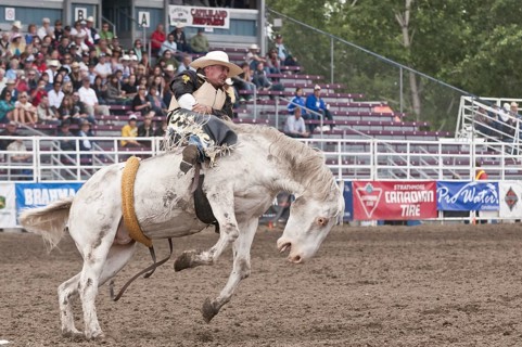 Cowboy