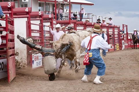Cowboy thrown while bull riding and landing on his head