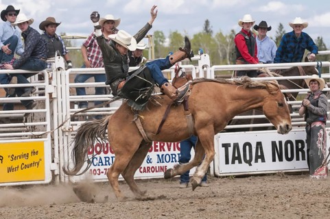 Cowboy