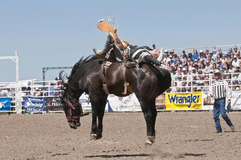 Cowboy