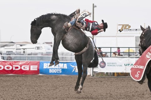 Cowboy