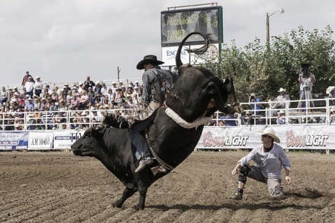 Cowboy bull riding