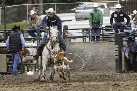 Cowboy