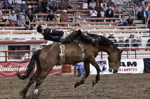 Cowboy