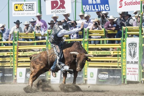 Cowboy bull riding
