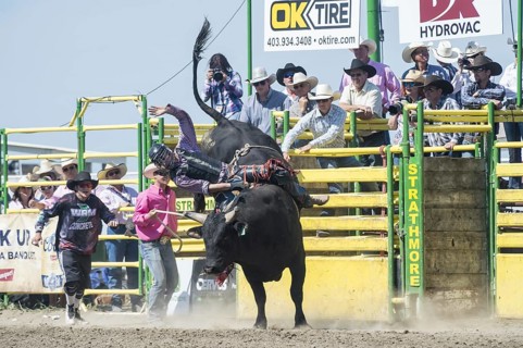 Cowboy bull riding