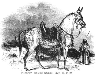 Mule royally bridled
