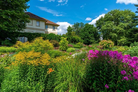 State Arboretum Exotic Garden
