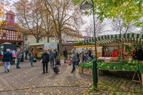 Stuttgart-Moehringen