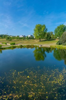 Hoehenpark Killesberg