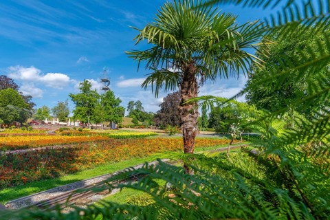 Hoehenpark Killesberg