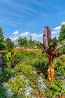 Hoehenpark Killesberg