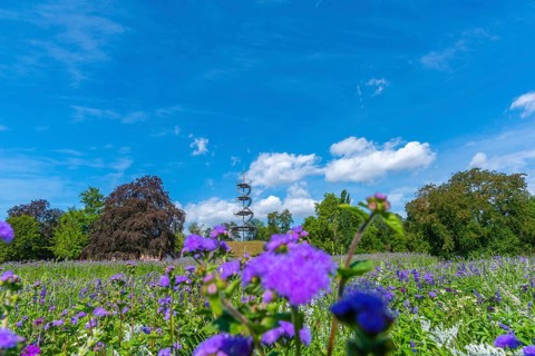 Hoehenpark Killesberg