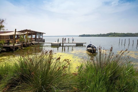 Lagoon