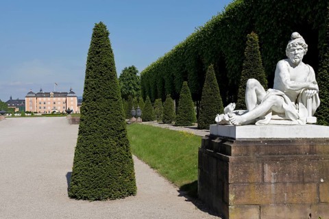 Palace Garden