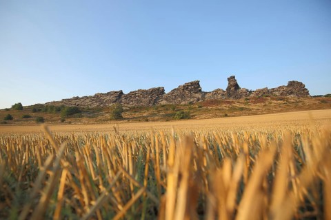 View of Teufelsmauer with Adlerfelsen and Koenigstein