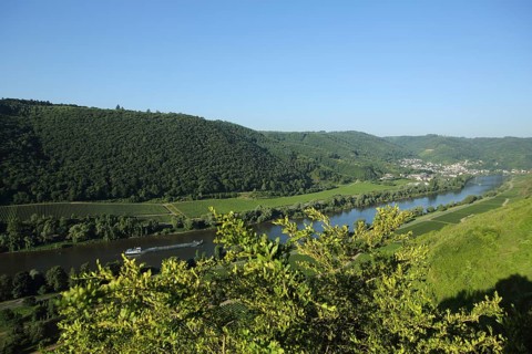 View of Moselle valley