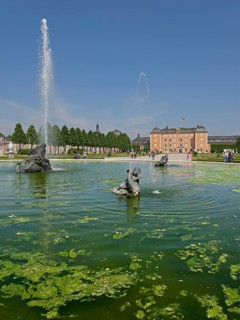Palace garden