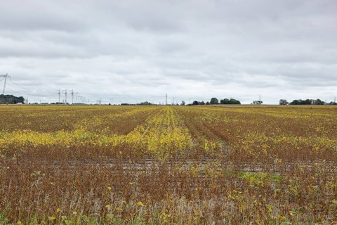 Agriculture