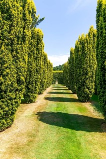 Green Court