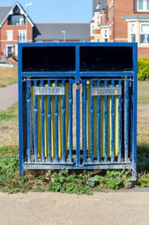 Combined litter and recycling waste bin