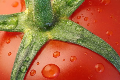 Detail of a ripe tomato
