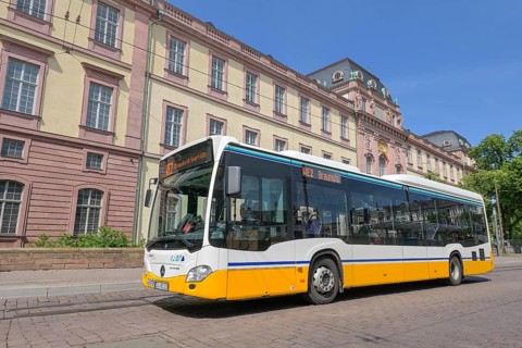 Bus