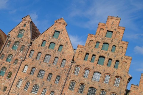 Salt store houses