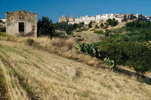 View of Irsina