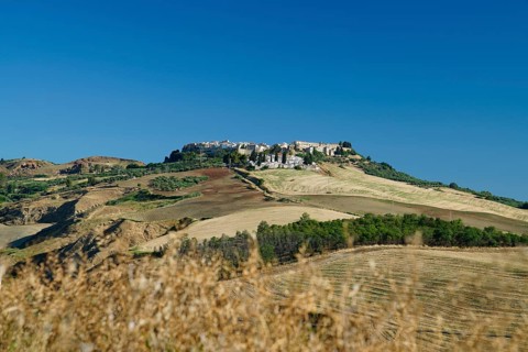View of Irsina
