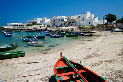 Beach near Polignano a Mare