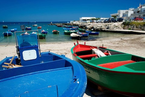 Beach near Polignano a Mare